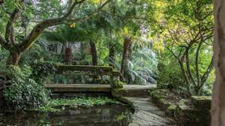 Cultura / Arte - Museos y monumentos - Pintura, escultura, arte y exposiciones -  Jardín botánico de la Fundación Sales - VIGO