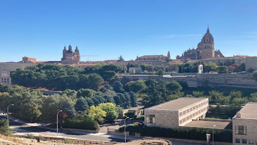 Cultura / Arte - Museos y monumentos - Pintura, escultura, arte y exposiciones -  Parque-Yacimiento Arqueológico del Cerro de San Vicente - SALAMANCA