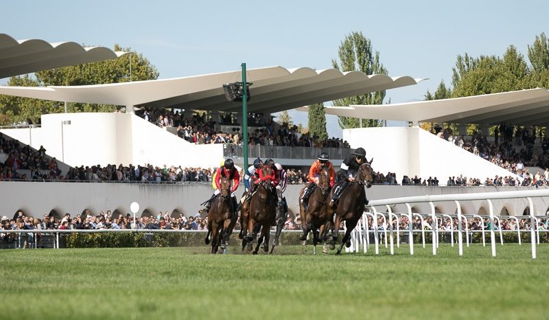 Otros ferias y fiestas - Carreras hípica - Aficiones -  Hipódromo de la Zarzuela - MADRID