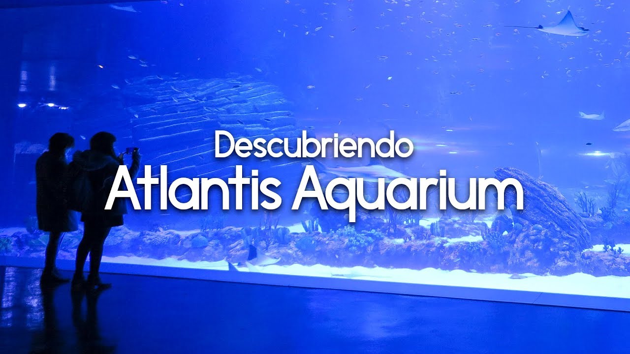 Animales y mascotas - Otros cultura y arte - Ruta cultural -  Atlantis Aquarium Madrid - MOSTOLES