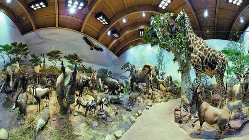 Museos y monumentos - Ruta cultural -  Excursión al Museo de la Fauna Salvaje de Valdehuesa - LEON
