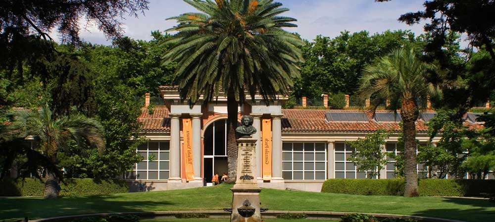 Parques - Pintura, escultura, arte y exposiciones - Ruta cultural -  Real Jardín Botánico - MADRID