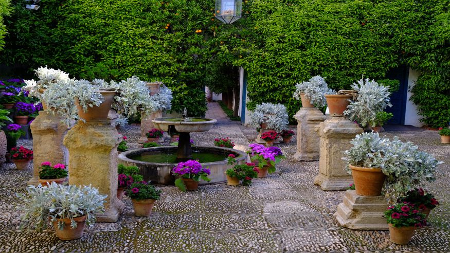 Museos y monumentos - Pintura, escultura, arte y exposiciones - Ruta cultural -  Palacio de Viana - CORDOBA