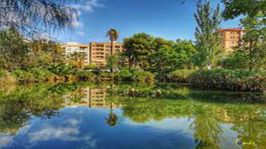 Parques - Infantil / Niños - Deportes aire libre -  Parc del Geòleg José Royo Gómez - CASTELLON DE LA PLANA
