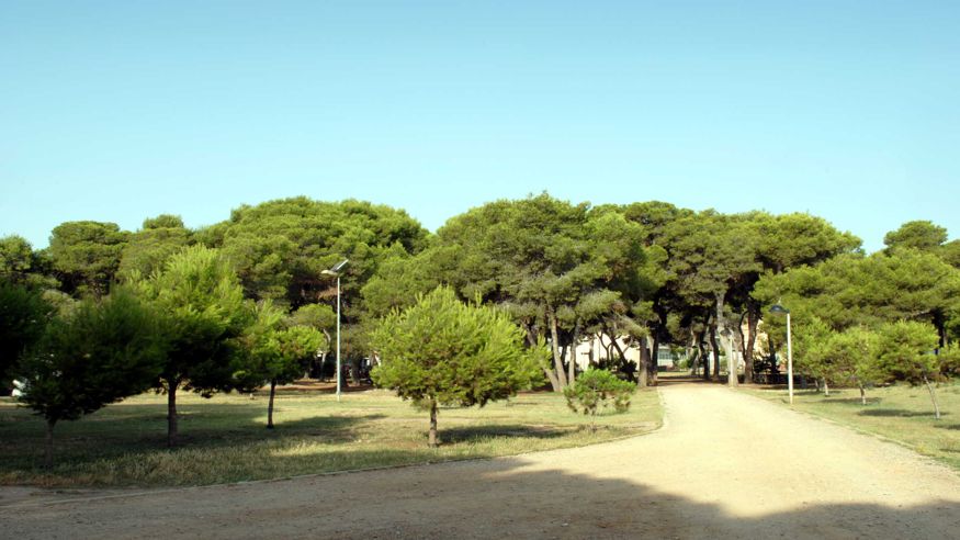 Parques - Infantil / Niños - Deportes aire libre -  Parc del Pinar - CASTELLON DE LA PLANA