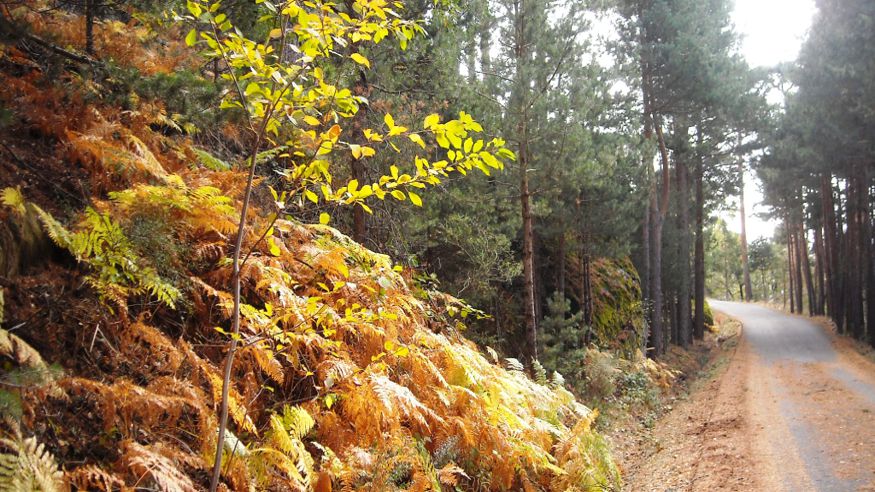 Ciclismo - Deportes aire libre - BTT / Ciclismo de montaña -  Rutas en bicicleta de montaña con GPS - Segovia - SEGOVIA