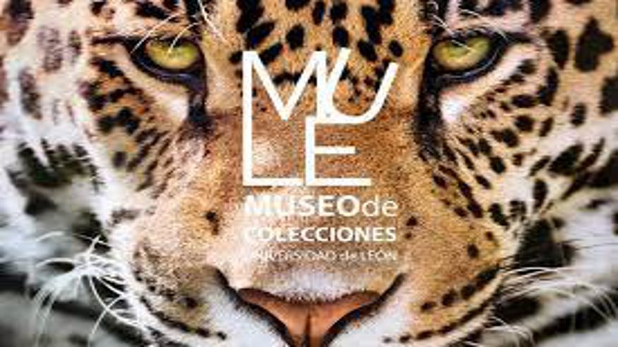 Cultura / Arte - Museos y monumentos - Ruta cultural -  Visita guiada por el Museo de Colecciones de la Universidad de León - LEON