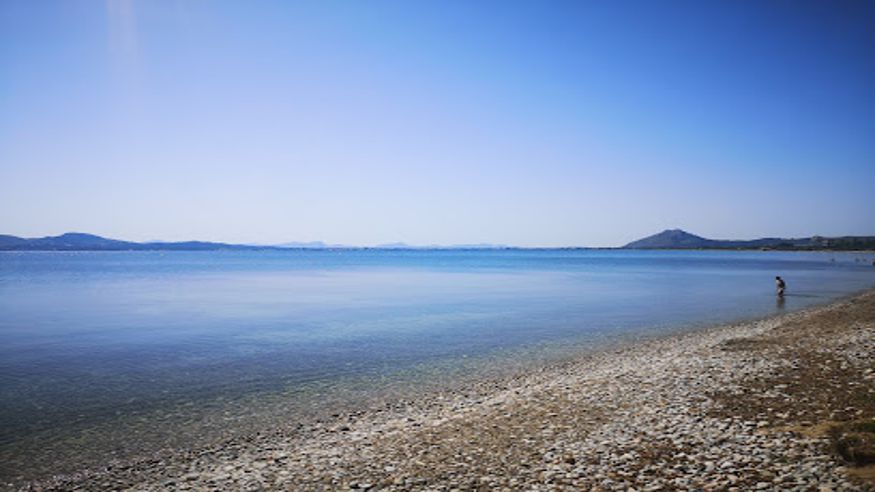 Submarinismo - Infantil / Niños - Deportes agua -  Platja de cans - Pollença - POLLENÇA