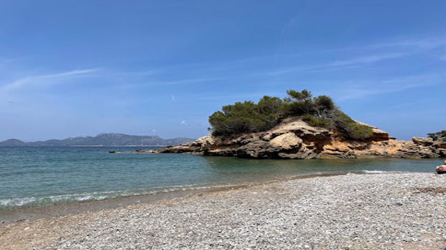 Submarinismo - Deportes agua - Kayak -  Playa de Olia - ALCUDIA