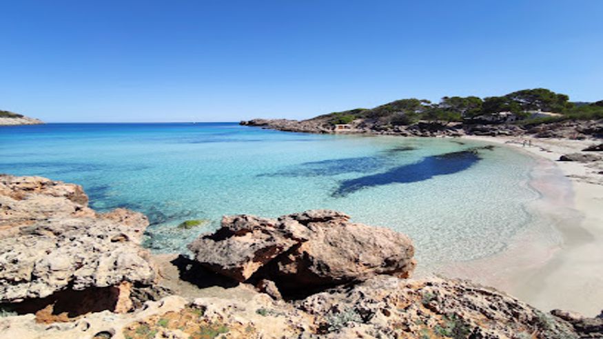 Kitesurf - Deportes agua - Kayak -  Platja de Ses Cavasses - CALA MESQUIDA