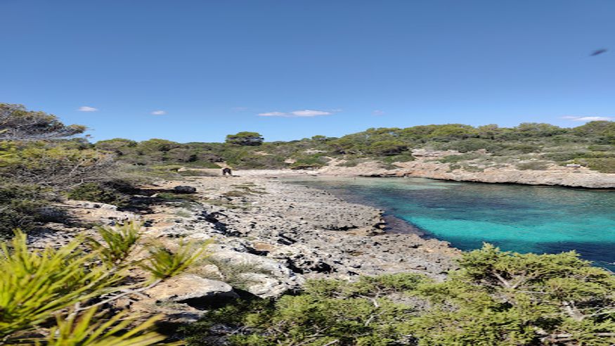 Kitesurf - Deportes agua - Kayak -  Cala Brafi - FELANITX