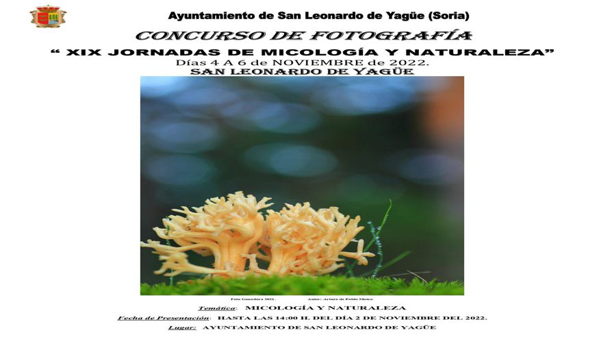 Otros ferias y fiestas -  XIX Feria Micológica y de naturaleza de San Leonardo de Yagüe - SAN LEONARDO DE YAGÜE