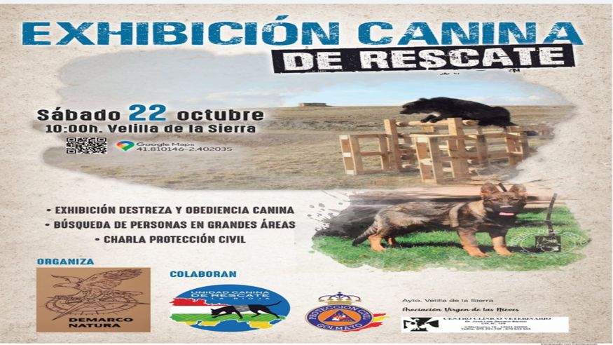 Caza - Otras aficiones con animales -  EXIBICIÓN CANINA DE RESCATE - VELILLA DE LA SIERRA