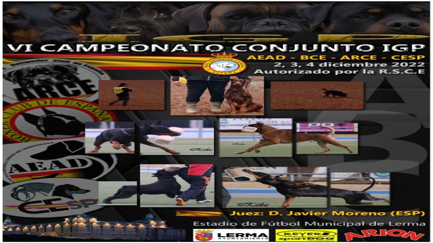 Otros deportes -  CAMPEONATO CANINO IGP - LERMA