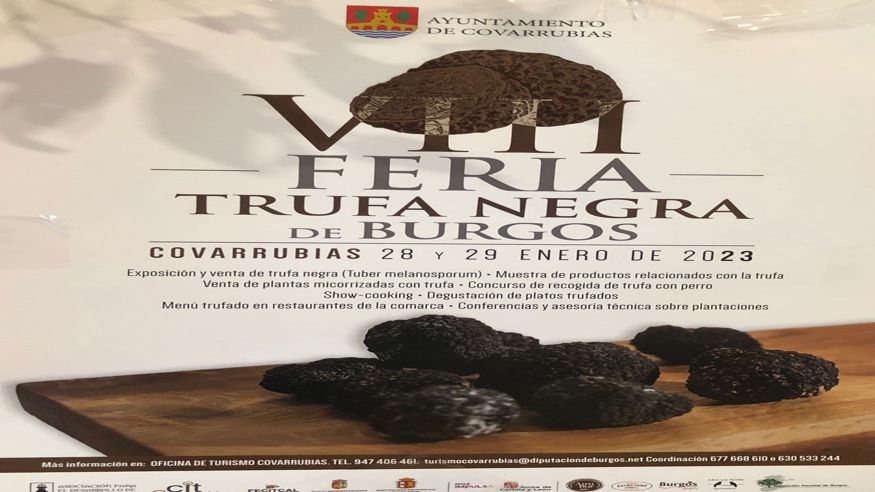 Otros gastronomía -  Feria de la trufa burgalesa - COVARRUBIAS