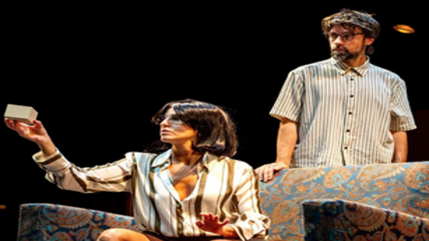 Teatro - Otros espectáculos -  INSTRUCCIONES PARA ALBERTO GONZÁLEZ - PAMPLONA/IRUÑA