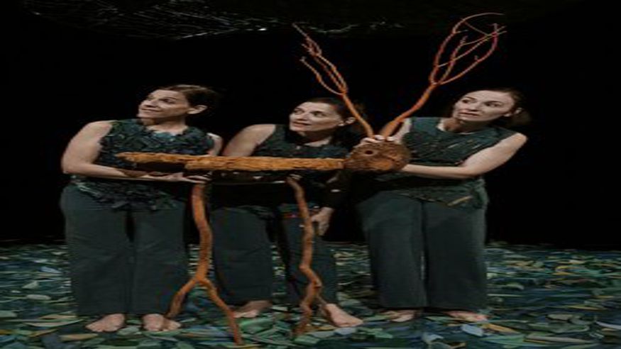 Teatro - Danza -  SOTABOSC, LA VIDA DAVALL ELS ARBRES - CALA MILLOR