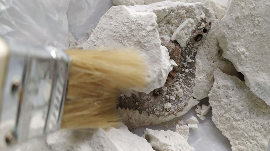 Parques - Otro niños - Infantil / Niños -  Geoginkana Familiar - GETXO