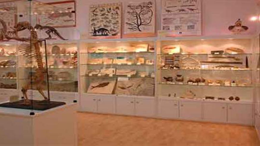 Otros cultura y arte - Museos y monumentos -  Museo de Fósiles y Minerales de Elgoibar - ELGOIBAR