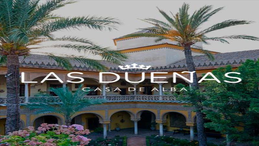 Museos y monumentos - Ruta cultural -  Entradas Palacio Las Dueñas - SEVILLA