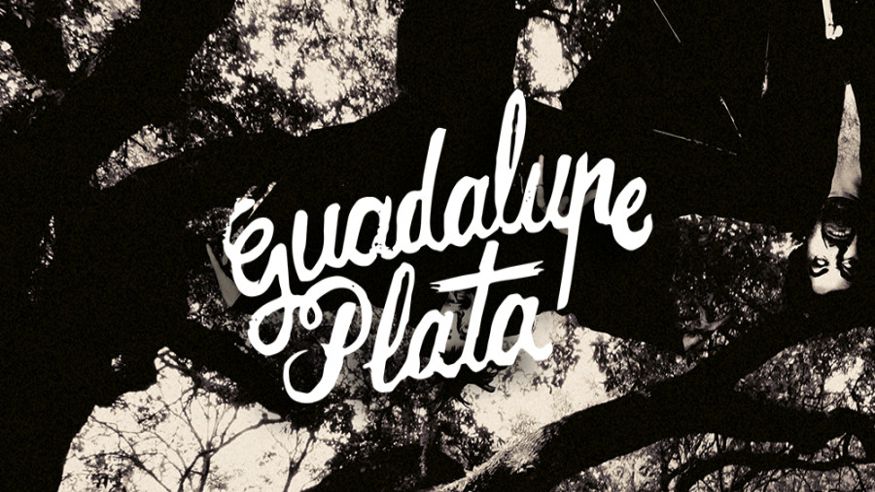 Música / Conciertos - Jazz, soul y blues - Pop, rock e indie -  Concierto "GUADALUPE PLATA" en ZARAGOZA - ZARAGOZA