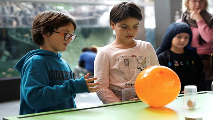 Talleres - Infantil / Niños -   Retos de ciencia  - SEVILLA