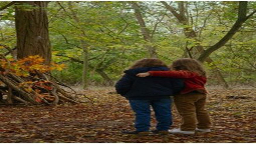 Cine -  LUNES DE CINE · PETITE MAMAN - SEVILLA