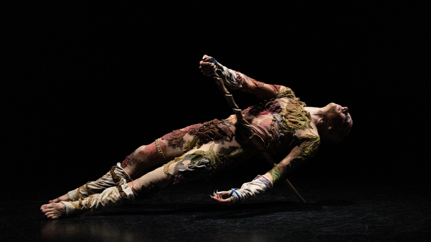 Otros música - Danza -  Último helecho - SEVILLA