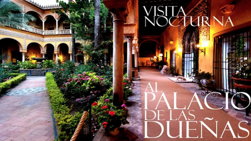 Museos y monumentos - Ruta cultural -  Visita nocturna al Palacio de las Dueñas  - SEVILLA