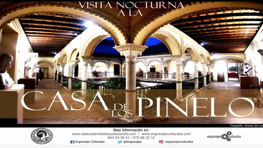 Museos y monumentos - Ruta cultural -  Visita Nocturna a la Casa de los Pinelo  - SEVILLA