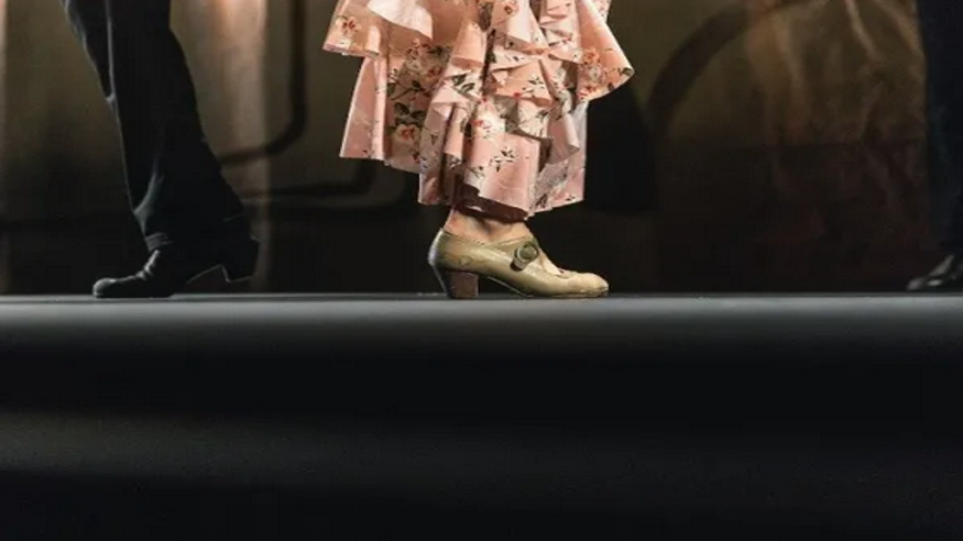 Flamenco -  Taller escolar de flamenco en Sevilla - SEVILLA