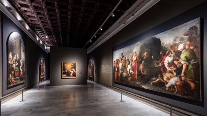 Cultura / Arte - Pintura, escultura, arte y exposiciones -  Visitas guiadas gratuitas a la exposición 'Arte y Misericordia. La Santa Caridad de Sevilla'  - SEVILLA