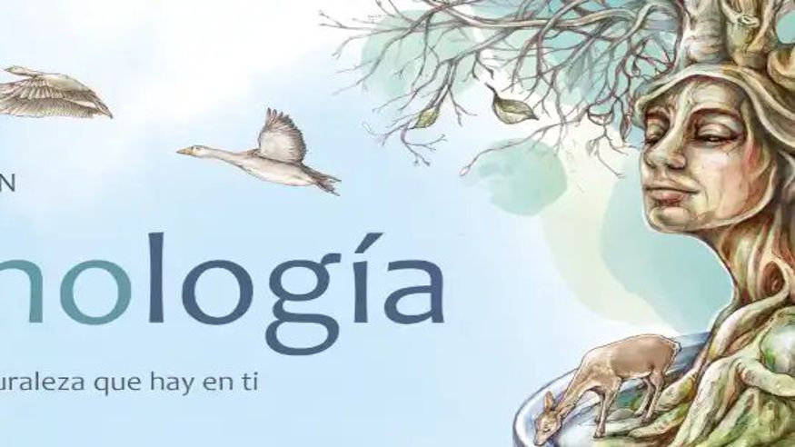 Pintura, escultura, arte y exposiciones -  "Fenologia" - VITORIA-GASTEIZ