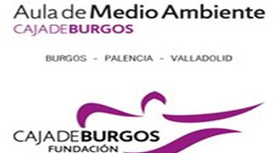 Pintura, escultura, arte y exposiciones -  Aula de Medio Ambiente CajaBurgos - BURGOS