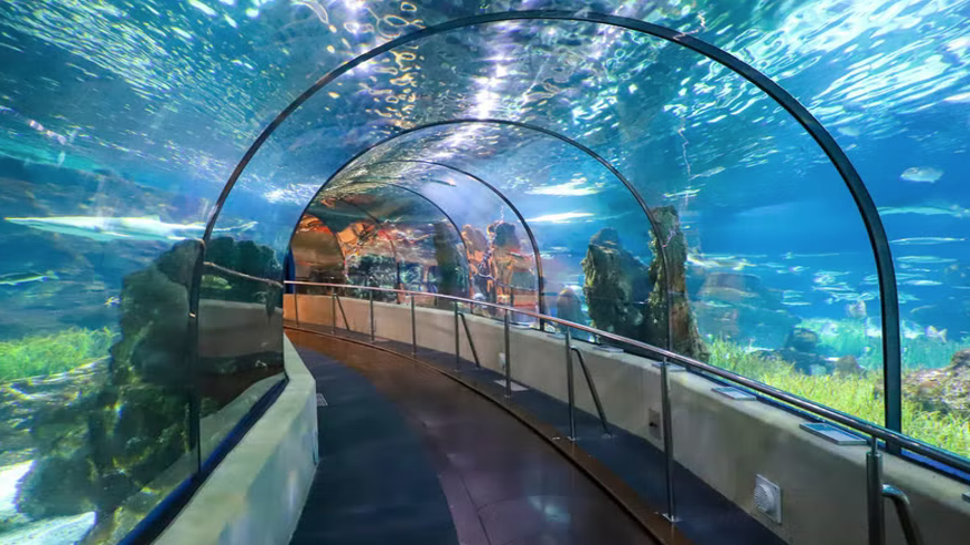 Parques - Infantil / Niños - Otras aficiones con animales -  Entrada a L’Aquàrium de Barcelona - BARCELONA
