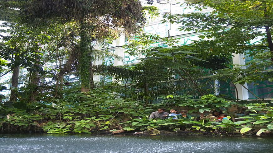 Cultura / Arte - Museos y monumentos - Sociedad -  EL BOSQUE INUNDADO DE COSMOCAIXA BARCELONA - BARCELONA