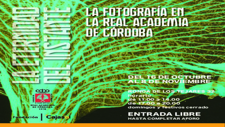 Pintura, escultura, arte y exposiciones -  LA ETERNIDAD DEL INSTANTE - CORDOBA