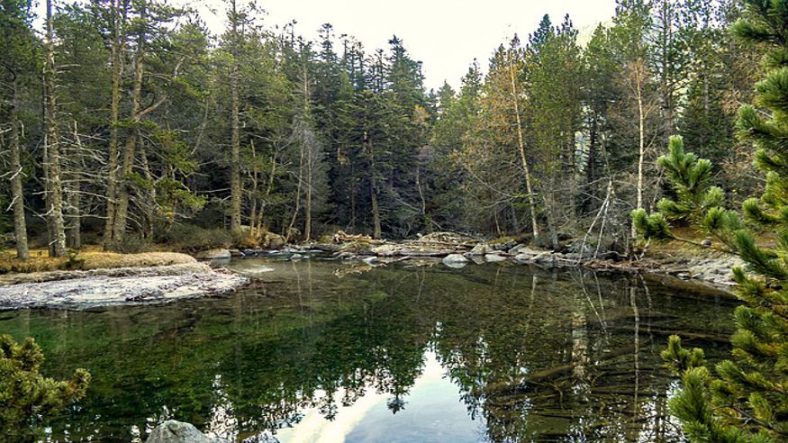 Parques - Infantil / Niños - Ruta cultural -  Parque dels Camps Elisis (Lleida) - LLEIDA