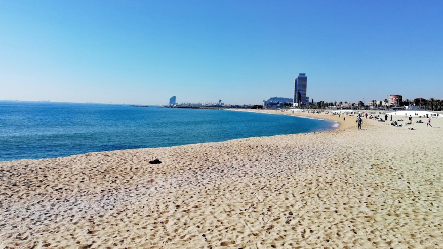 Infantil / Niños - Deportes agua - Vóleibol -  PLAYA DEL BOGATELL - BARCELONA