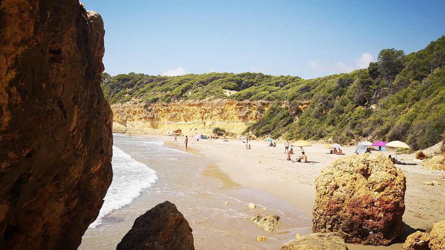 Formación / Bienestar - Infantil / Niños - Sociedad -  Cala Fonda - Playa Waikiki  - TAMARIT