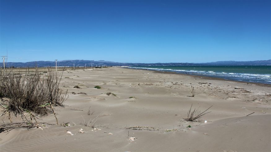 Formación / Bienestar - Infantil / Niños - Sociedad -  Playa de la Marquesa (Delta de l'Ebre) - DELTEBRE