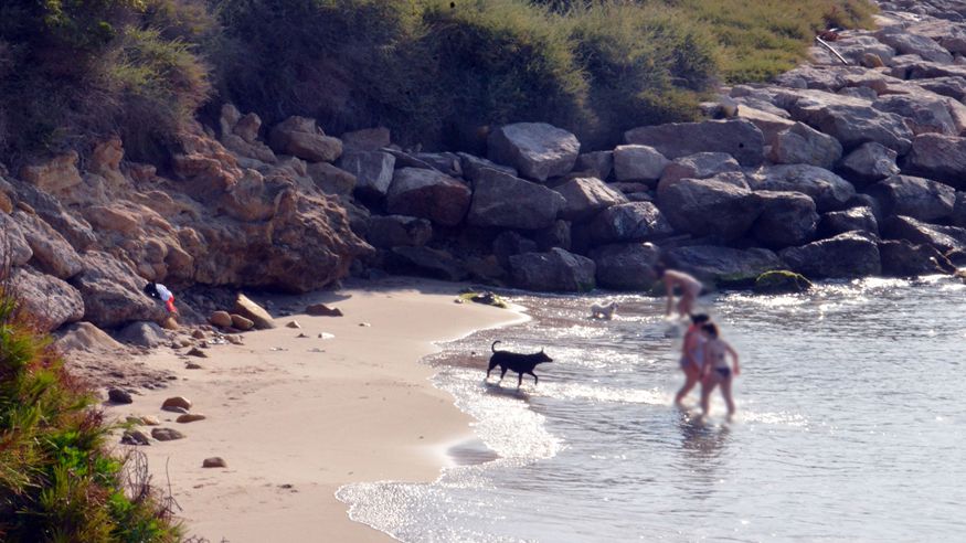 Formación / Bienestar - Infantil / Niños - Sociedad -  Playa Cala Torrota (Roda de Berà) - RODA DE BERÀ