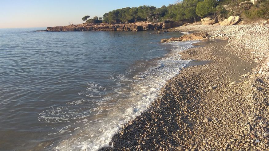 Formación / Bienestar - Infantil / Niños - Sociedad -  Playa Cala Montsià Mar (Alcanar) - ALCANAR