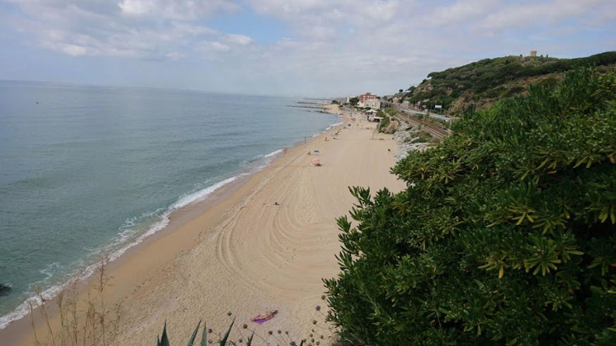 Infantil / Niños - Deportes agua - Windsurf -  Platja de la Musclera - ARENYS DE MAR