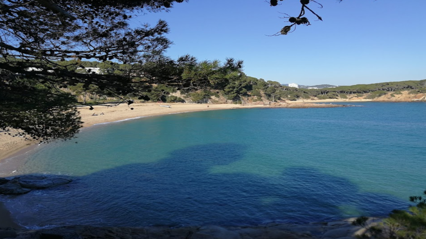 Infantil / Niños - Deportes agua - Windsurf -  Platja Sa Conca - S'AGARO