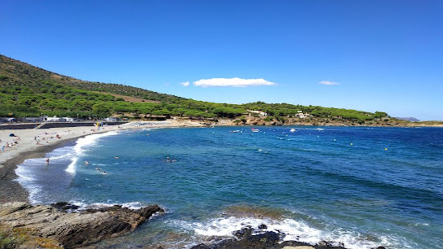Formación / Bienestar - Infantil / Niños - Sociedad -  Platja sota s'Arenella (Cap de Vol) - PORT DE LA SELVA (EL)