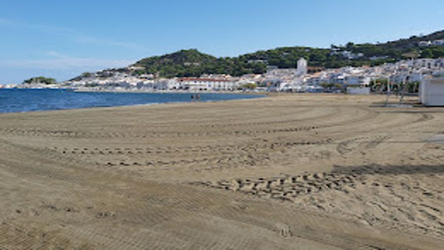 Formación / Bienestar - Infantil / Niños - Sociedad -  Playa del Port de la Selva - PORT DE LA SELVA (EL)