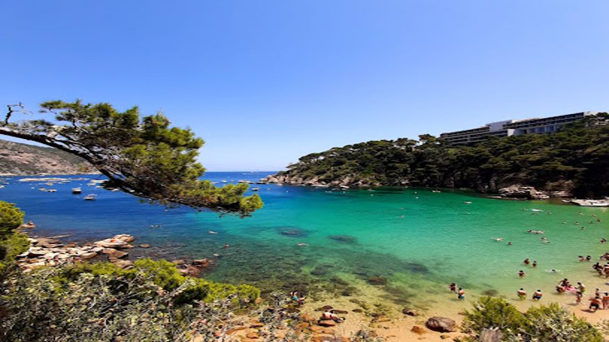 Natación - Kayak - Sociedad -  Platja d'Aiguablava - BEGUR