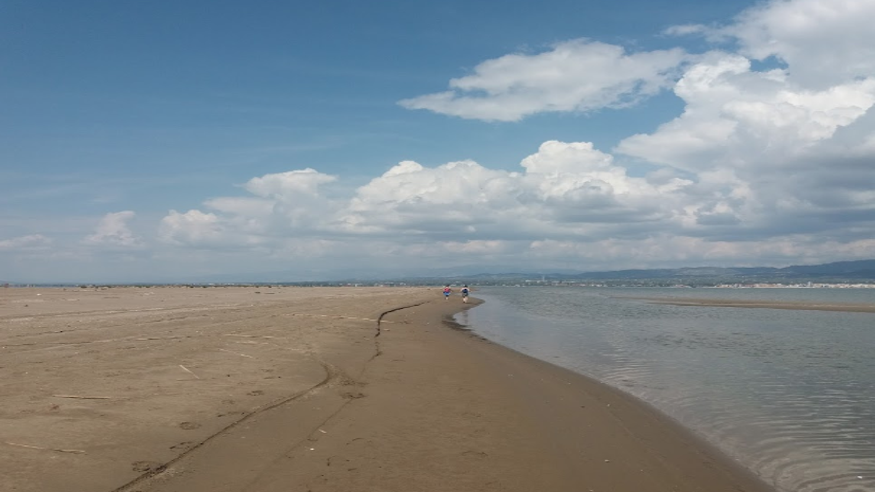 Infantil / Niños - Deportes agua - Cometas -  Playas de la Delta del Ebro - SANT JAUME D'ENVEJA