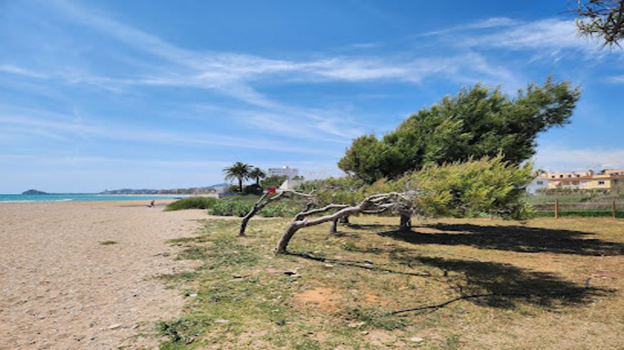 Juegos - Deportes agua - Vóleibol -  Platja canina El Barranquet - BENICARLO